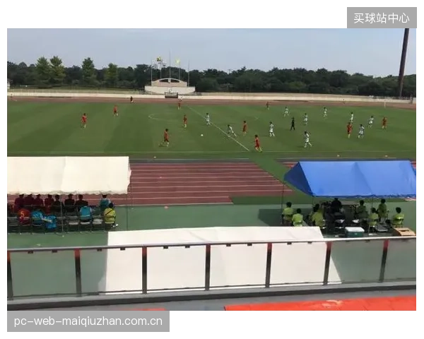 三国联合办赛虽然扩大了影响力，但也给现场观赛的球迷带来了高昂的交通和住宿成本。